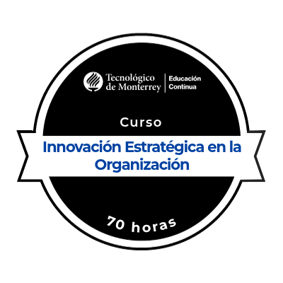 Innovación Estratégica en la Organización